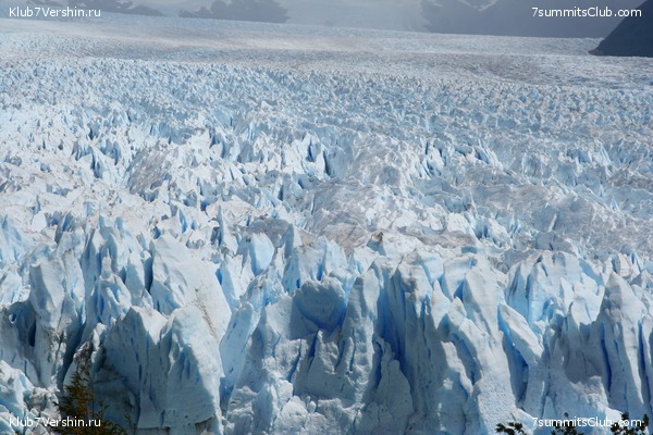 �������� � ���������. ���� ���������. 2012, photo 54