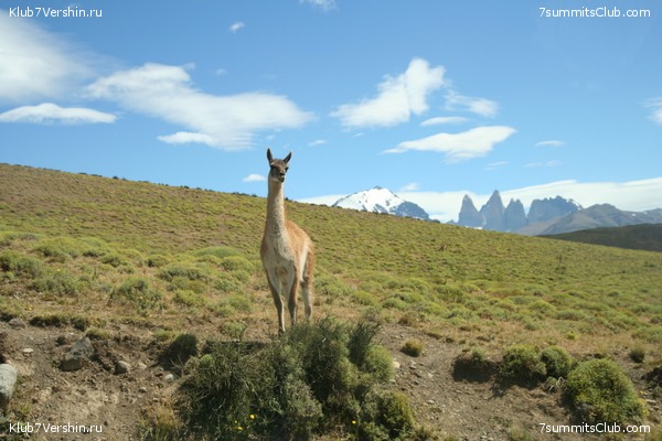 �������� � ���������. ���� ���������. 2012, photo 70