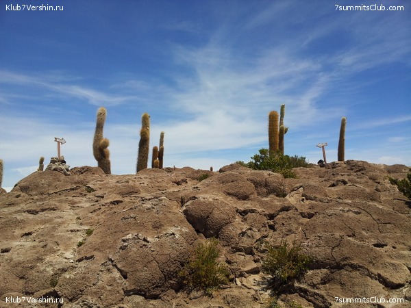 �������. ������� ������� ���������, photo 35