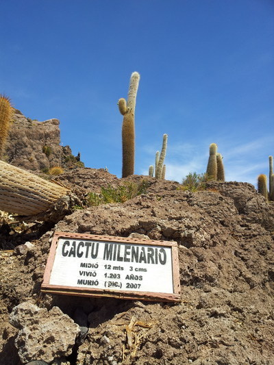 �������. ������� ������� ���������, photo 174