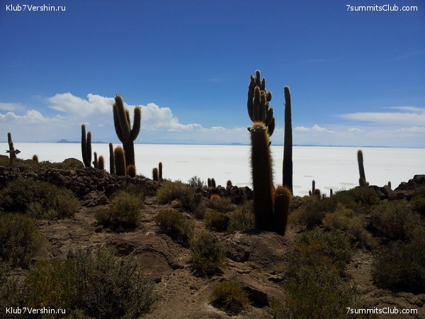 �������. ������� ������� ���������, photo 41