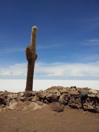 �������. ������� ������� ���������, photo 175