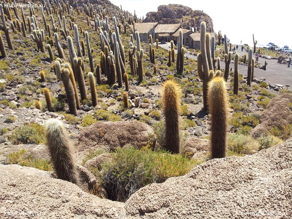 �������. ������� ������� ���������, photo 48