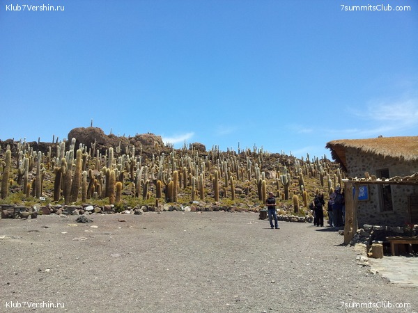 �������. ������� ������� ���������, photo 53