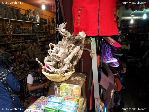 �������. ������� ������� ���������, photo 73