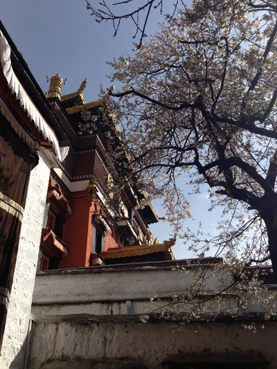 ������� 2013. ����� 1 �����, photo 94