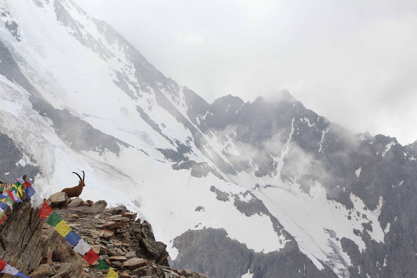 �������. ���� 2013, photo 8