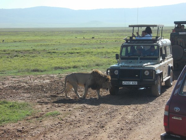 Kilimanjaro. Summary, photo 175