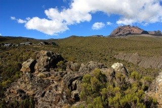 �������, photo 39