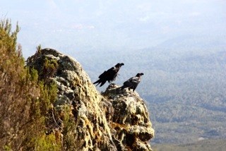 �������, photo 40