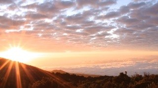 �������, photo 9