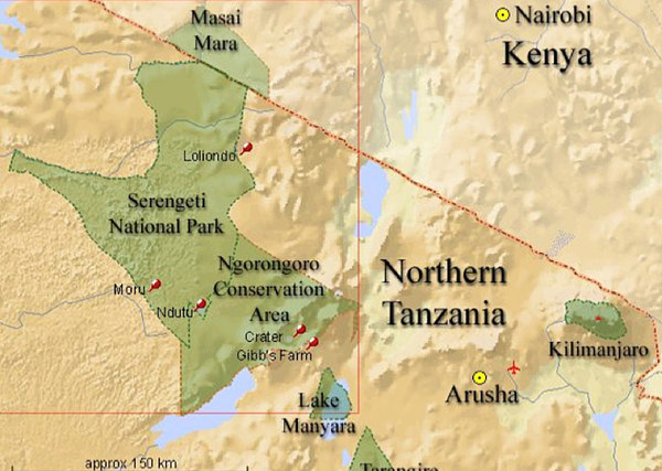 Kilimanjaro. Summary, photo 165