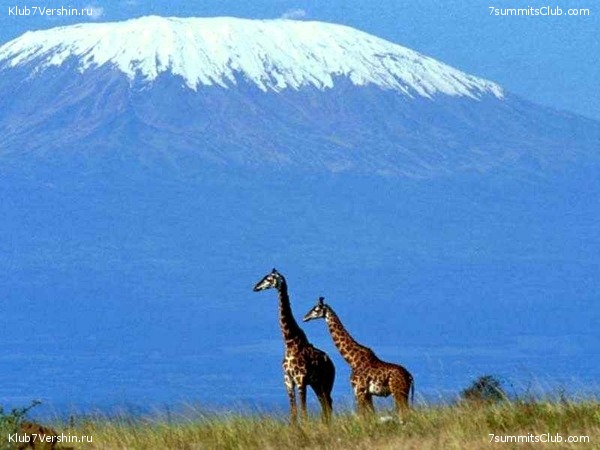 Kilimanjaro. Summary, photo 180