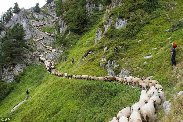 ��������� ������, photo 101