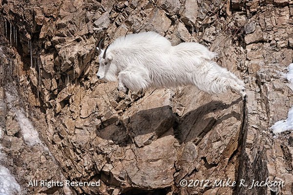 ��������� ������, photo 102