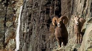 ��������� ������, photo 35