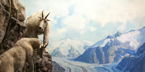 ��������� ������, photo 15